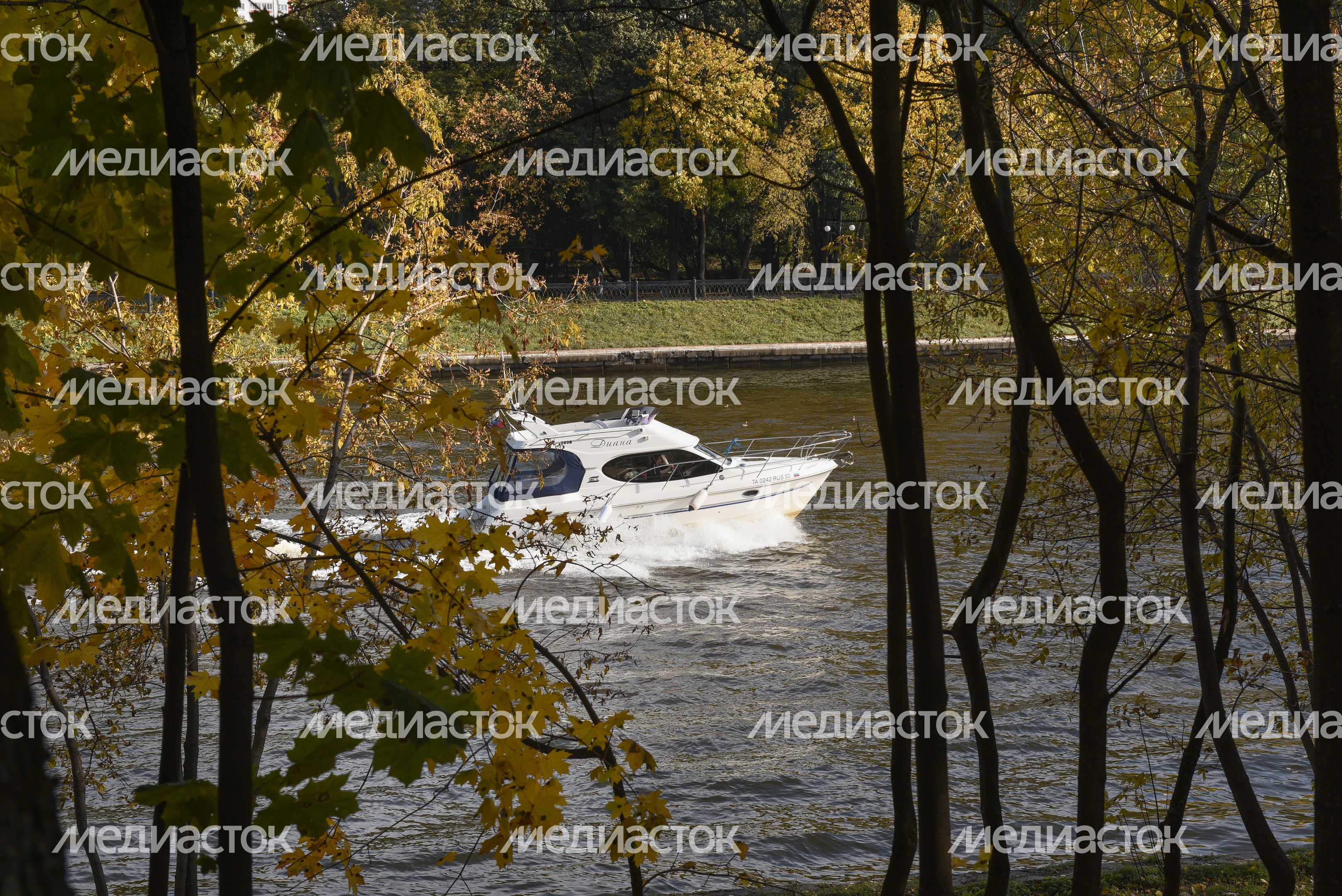 Золотая осень в Химках
