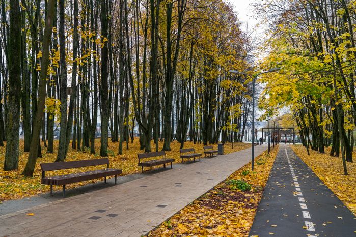 Городской парк культуры и отдыха Солнечногорска осенью