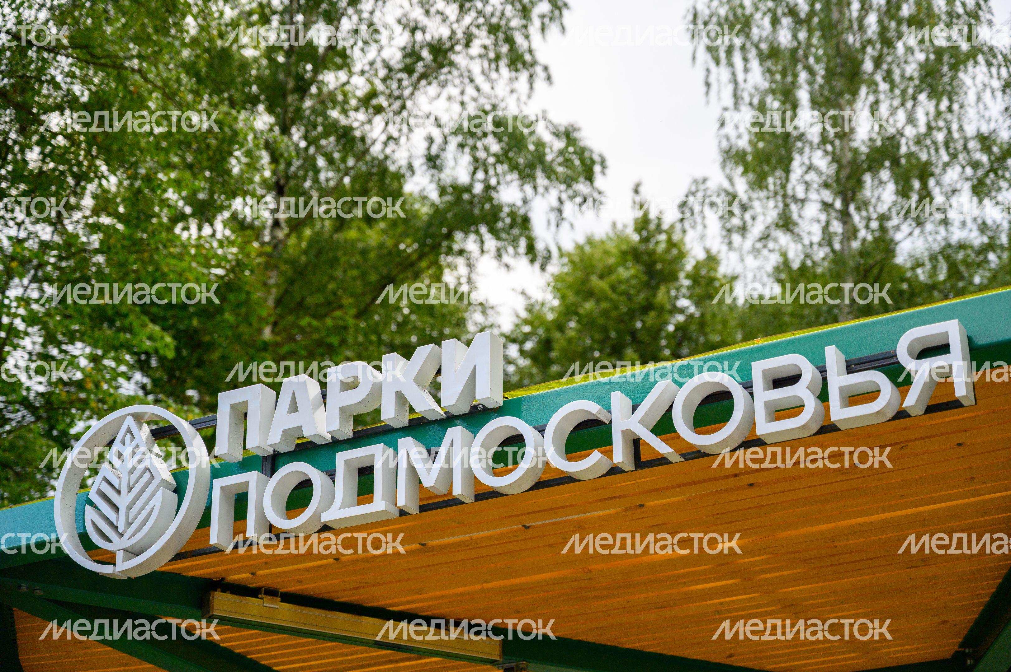 Сквер «Затишье» в Электростали летом