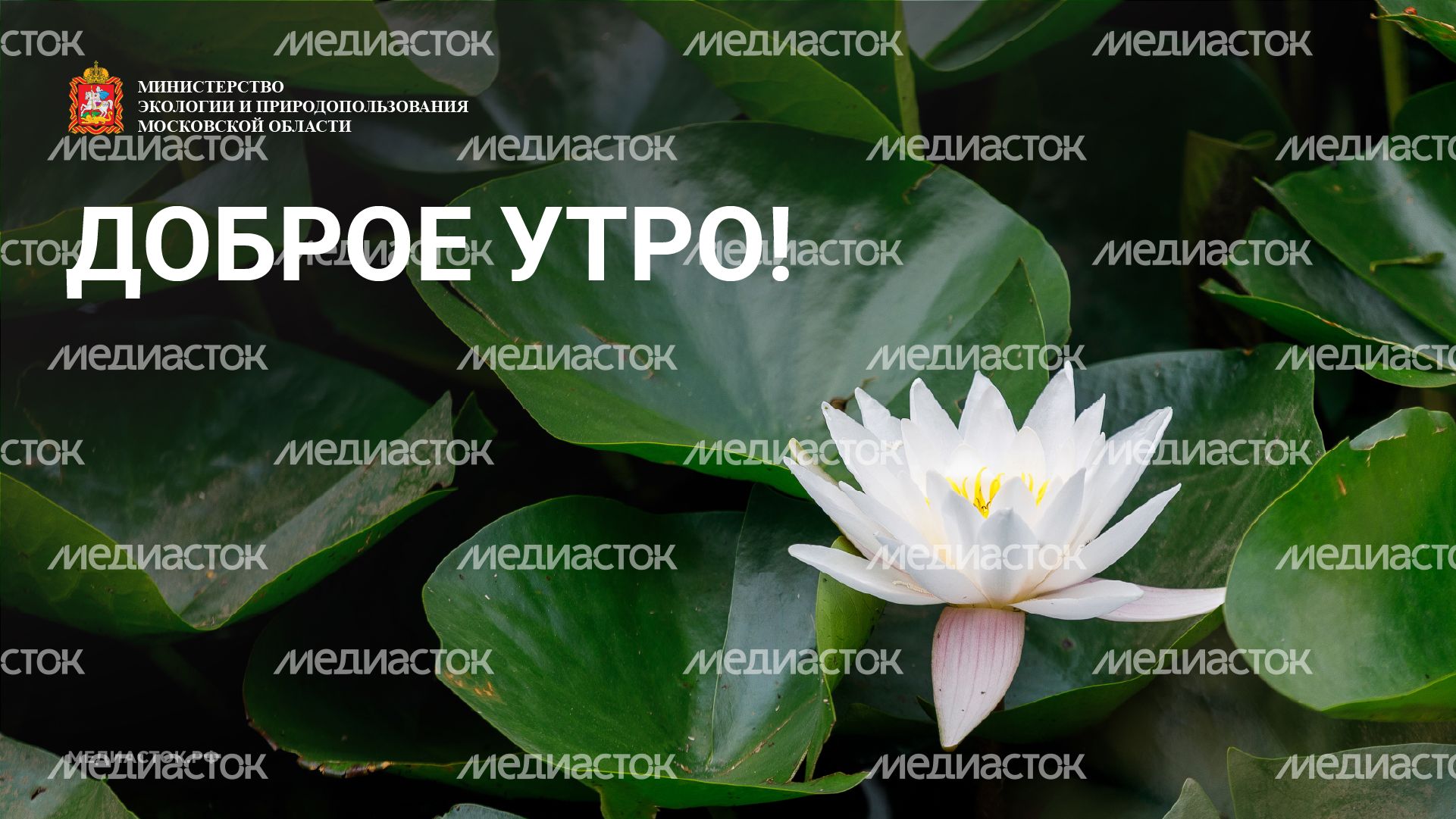 Доброе утро горизонталь 02