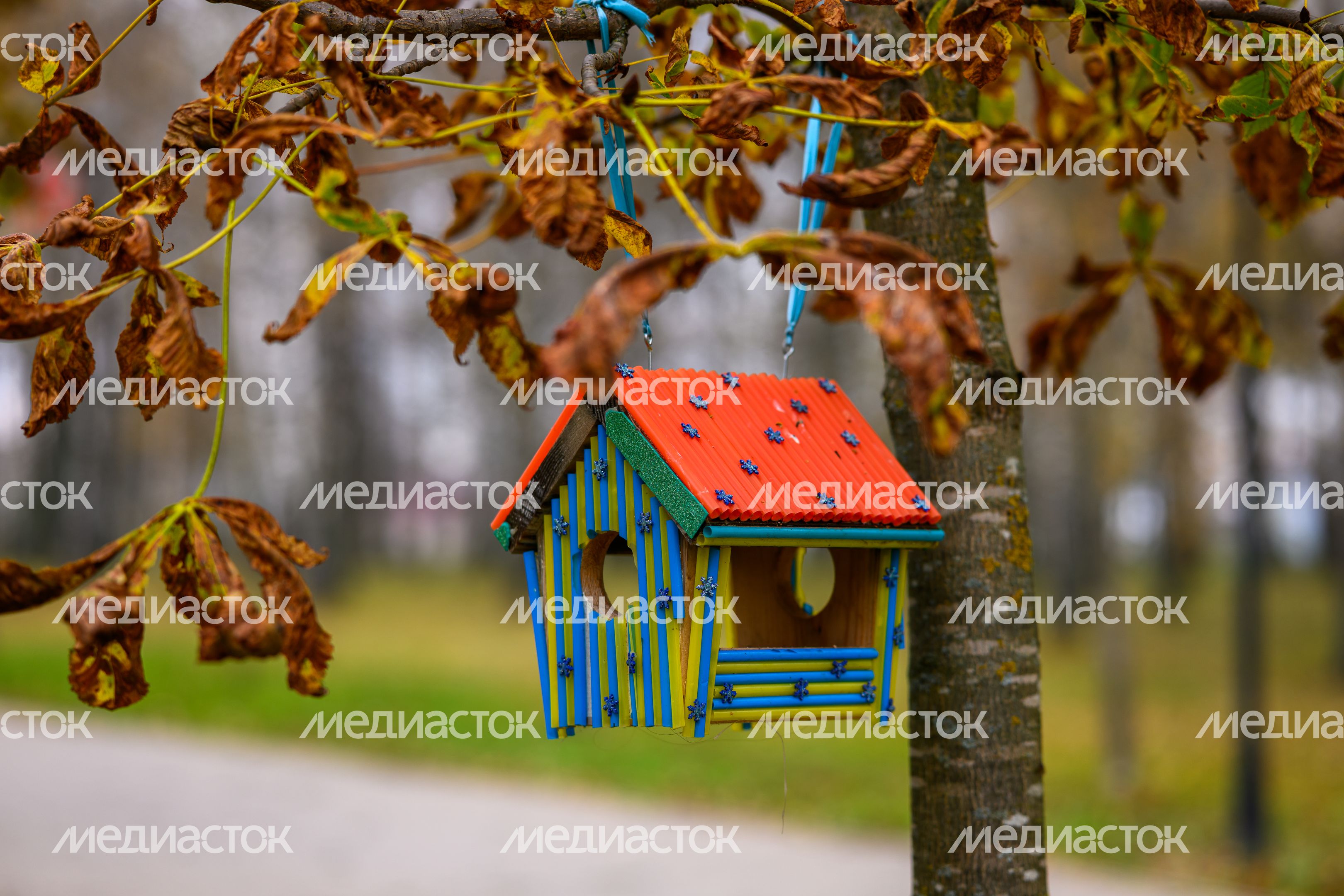 Кормушка для белок и птиц в парке «200 лет Егорьевску» осенью Кормушка для белок и птиц в парке «200 лет Егорьевску» осенью
