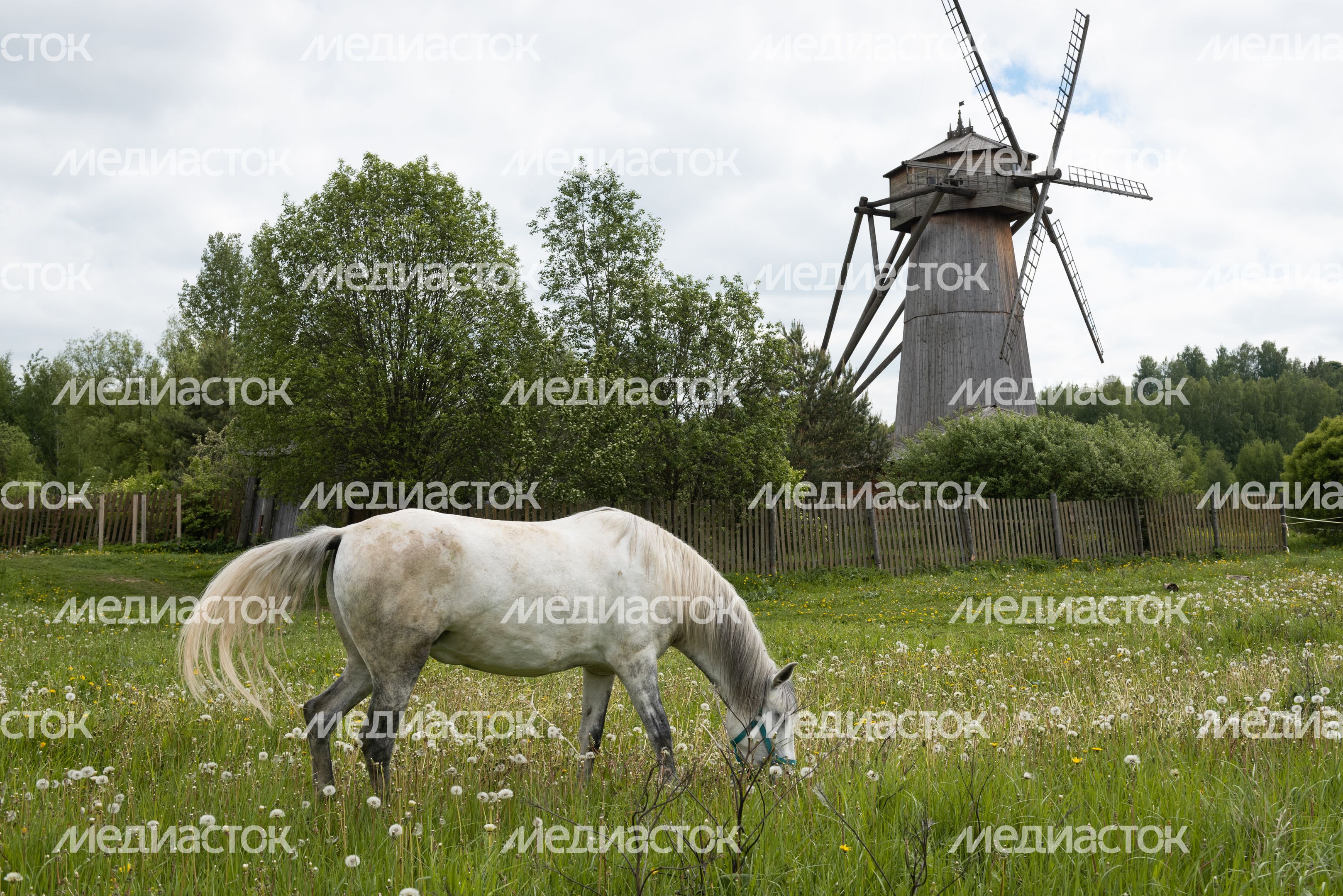Мельница в Истре