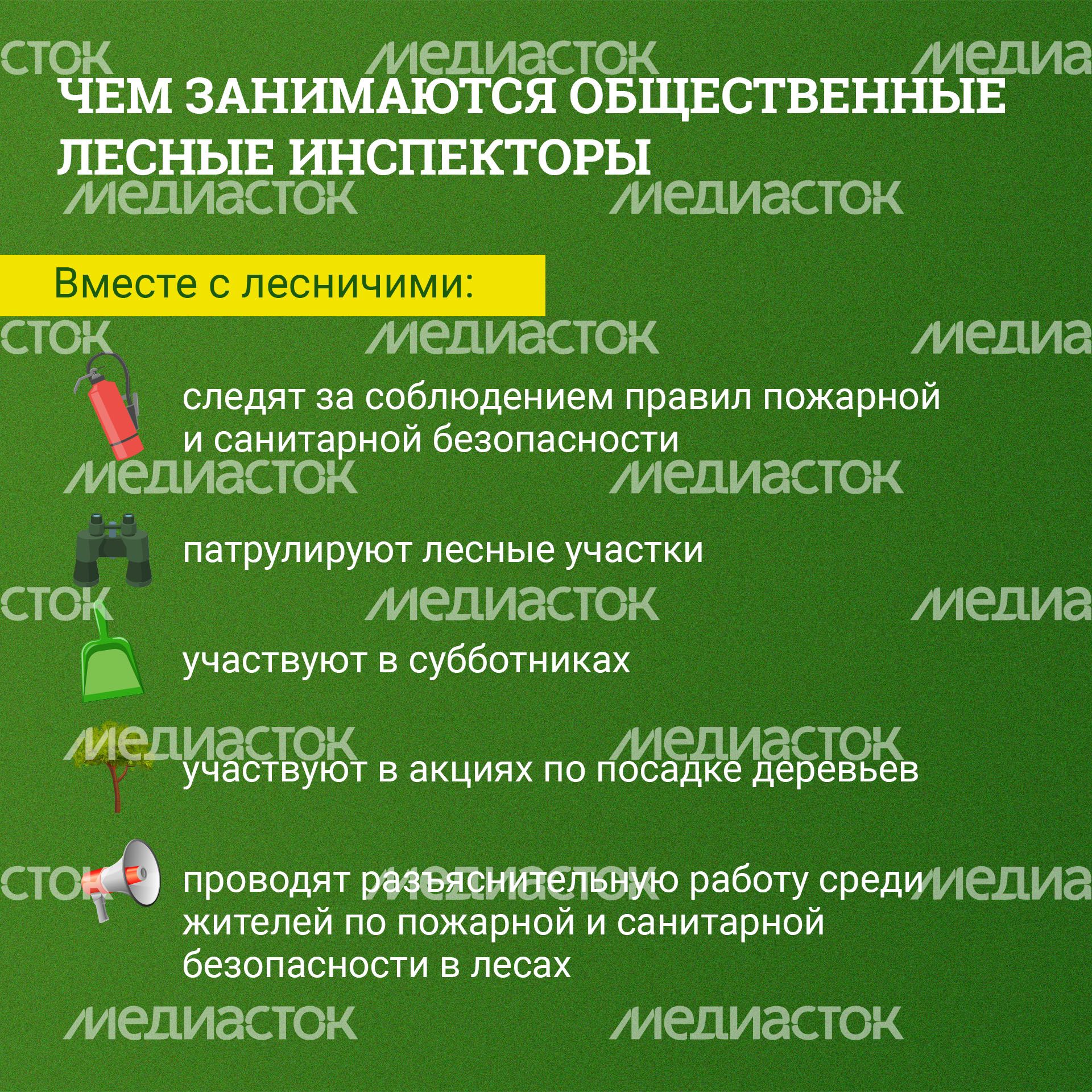 Как стать общественным лесным инспектором