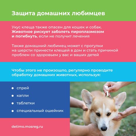Квадрат осторожно клещи 10.png