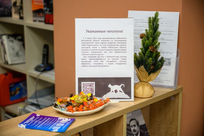 Центральная библиотека имени Инны Гофф в Воскресенске после капитального ремонта