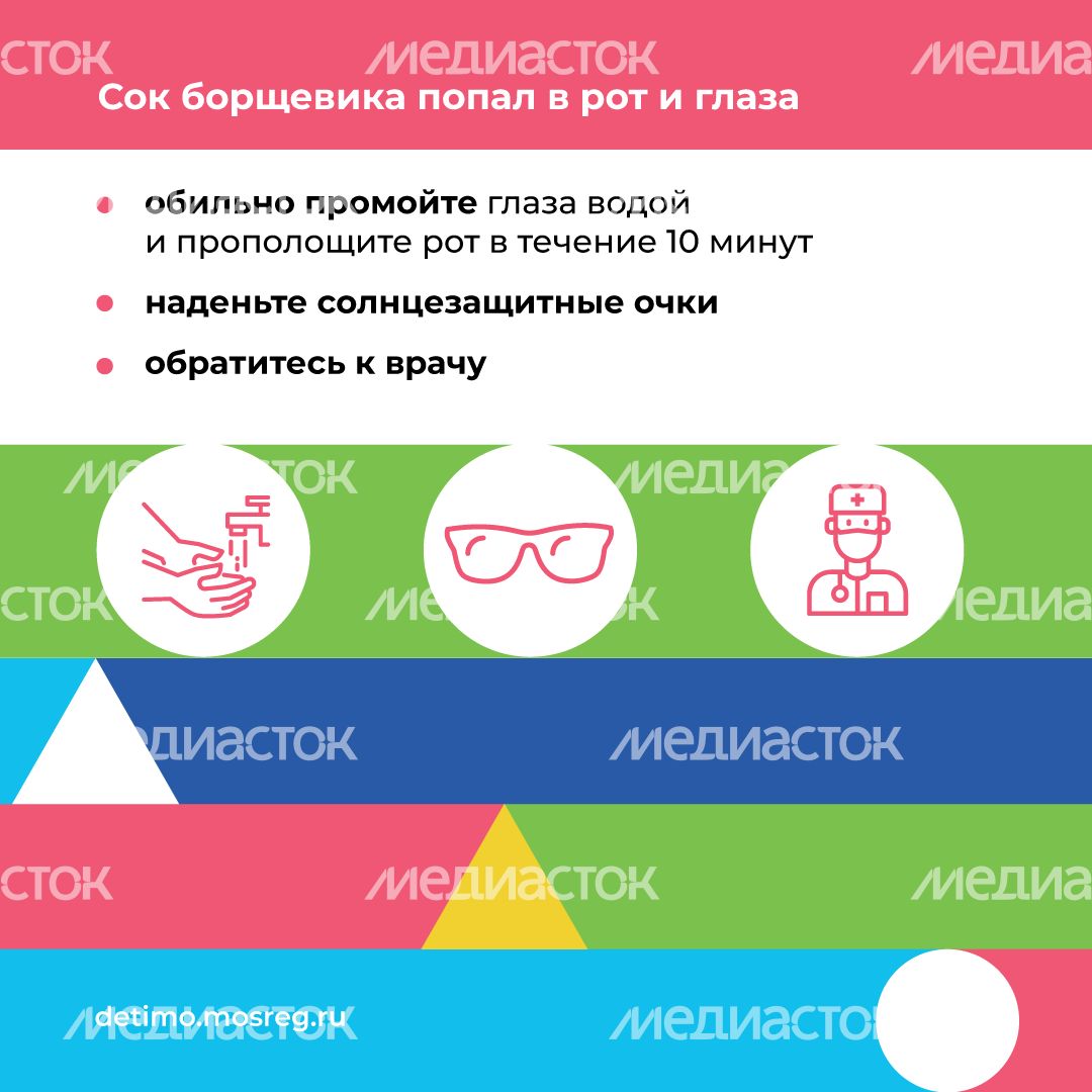 Квадрат_Борщевик Сосновского_07.png