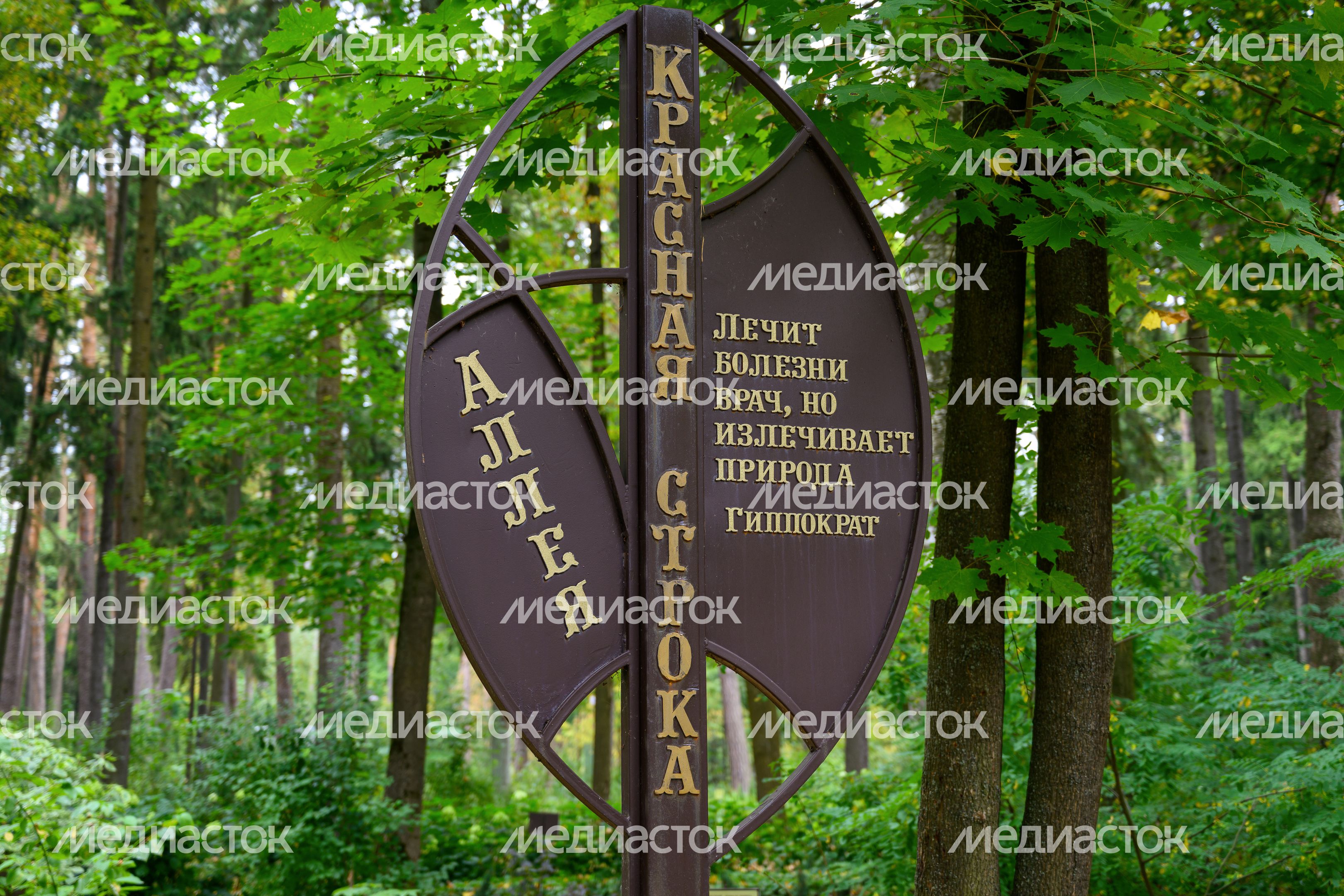 Дендрарий «Живая книга» в лесопарке «Волхонка» в Ногинске. Богородский округ