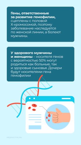 Гемофилия Вертикаль 05