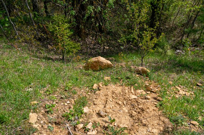 Гжельский Ярус в Раменском городском округе