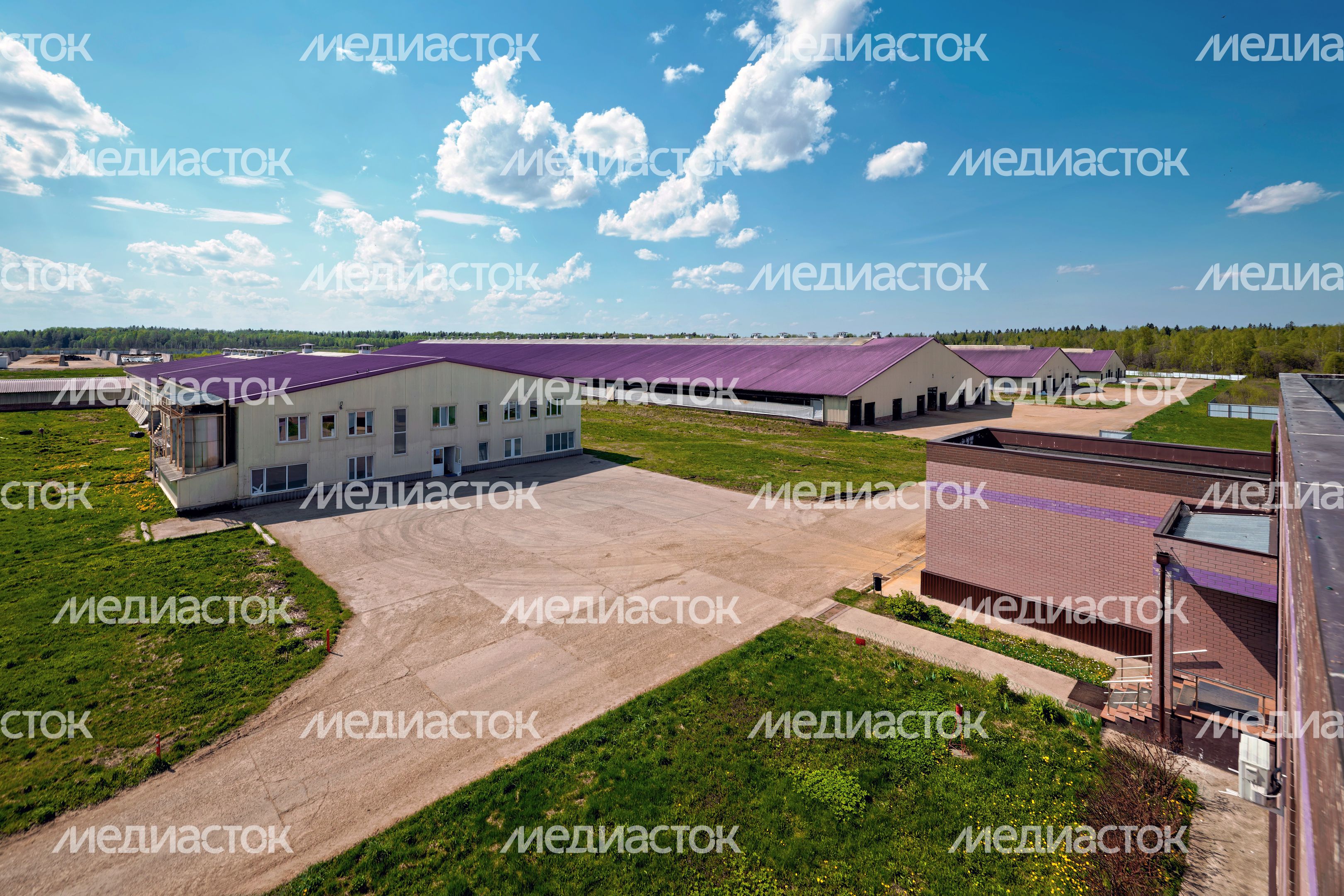 Молочно-товарная ферма «Рота-Агро Благовещенье» в Наро-Фоминском округе
