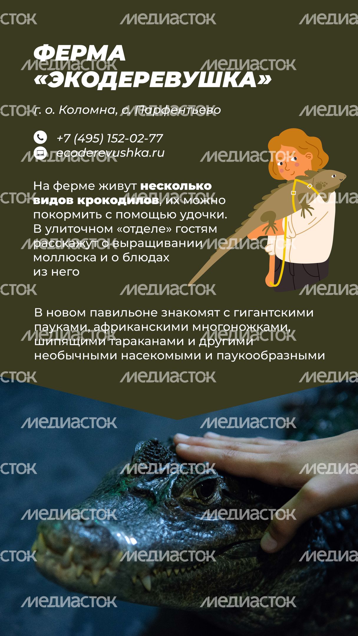 Фермы с животными-04.jpg