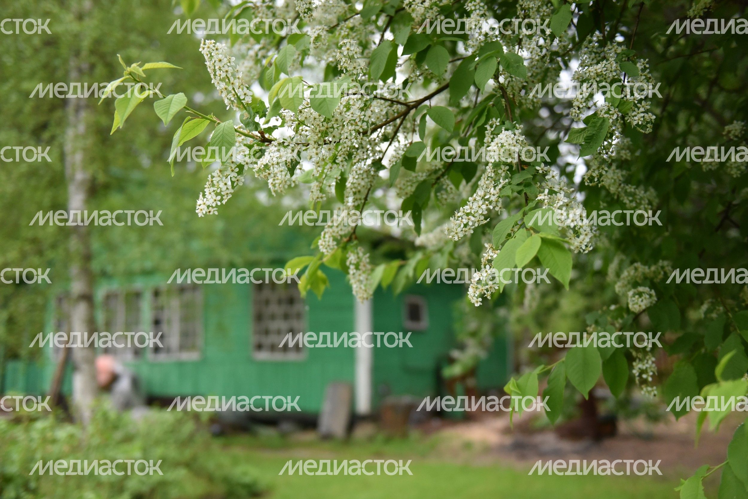 Рабочий визит губернатора Подмосковья и мэра Москвы в СНТ «Северянин»