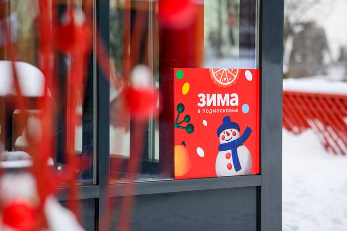 Вишняковский лесопарк в Балашихе. Зима