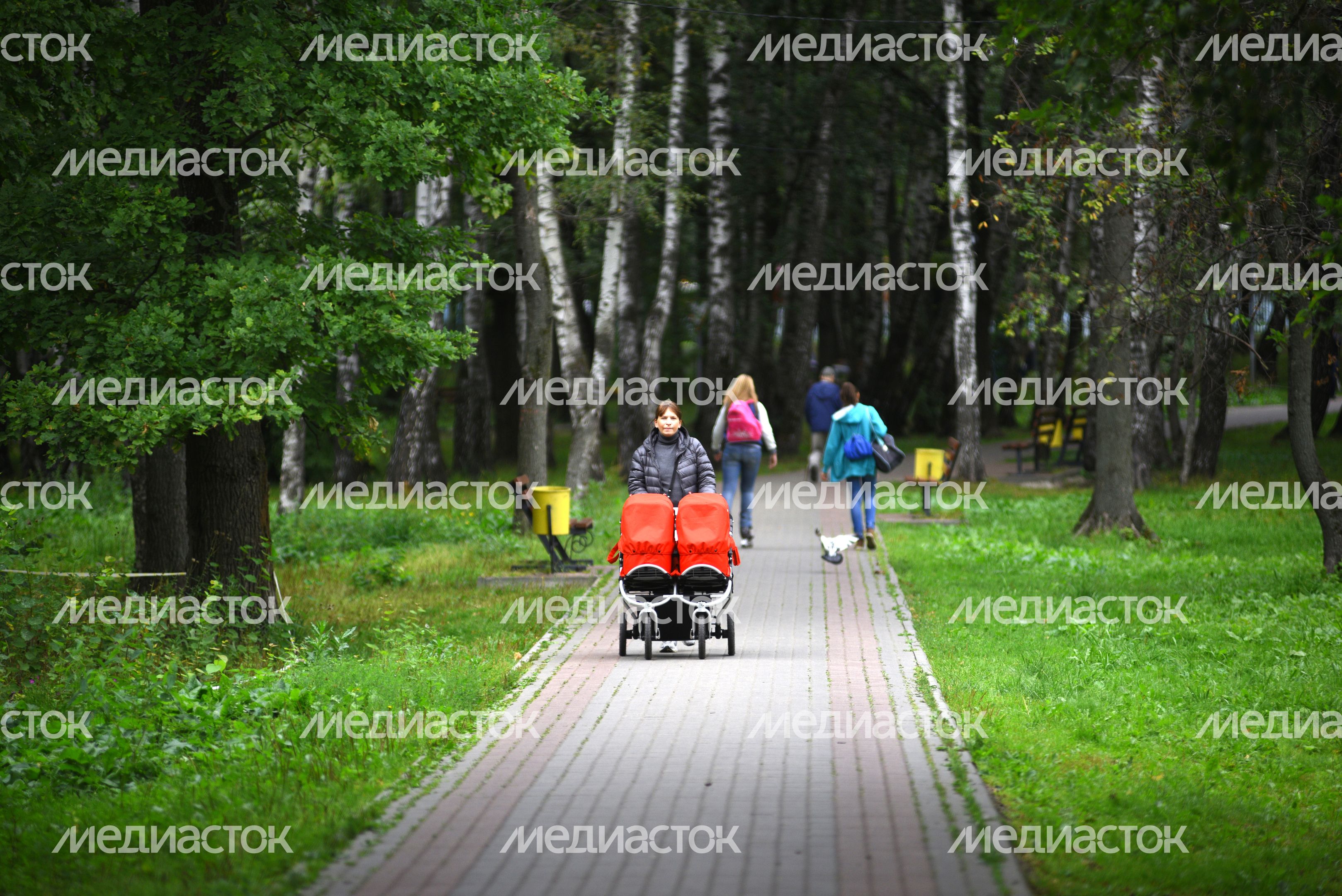 Парк в Химках Парк в Химках