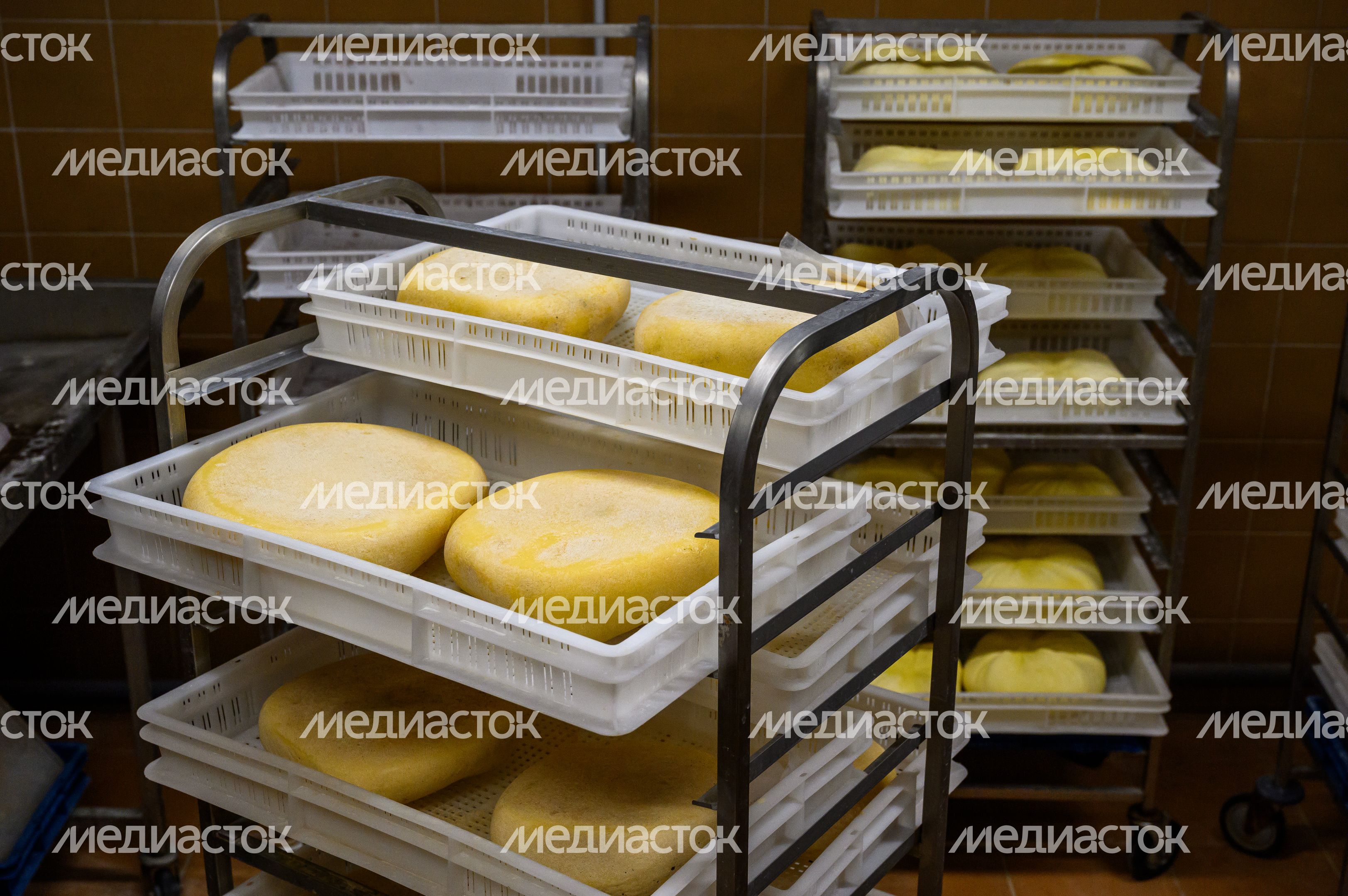 Экоферма «Былинкино» в Луховицах – козья ферма, сыроварня и экоотель Экоферма «Былинкино» в Луховицах – козья ферма, сыроварня и экоотель