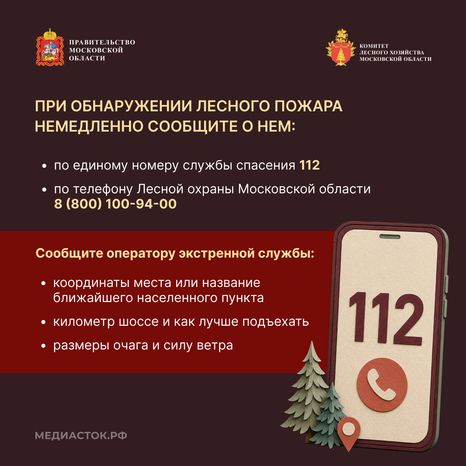 Живете рядом с лесом квадрат 08