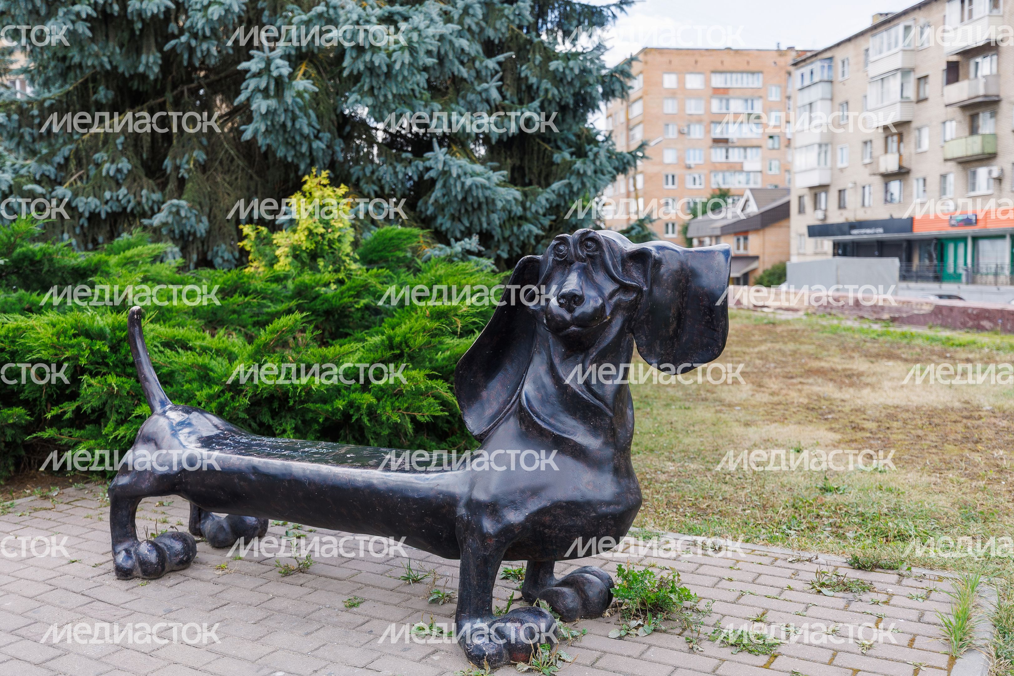 Жанровая скульптура «Такса» в виде лавочки в Воскресенске Жанровая скульптура «Такса» в виде лавочки в Воскресенске