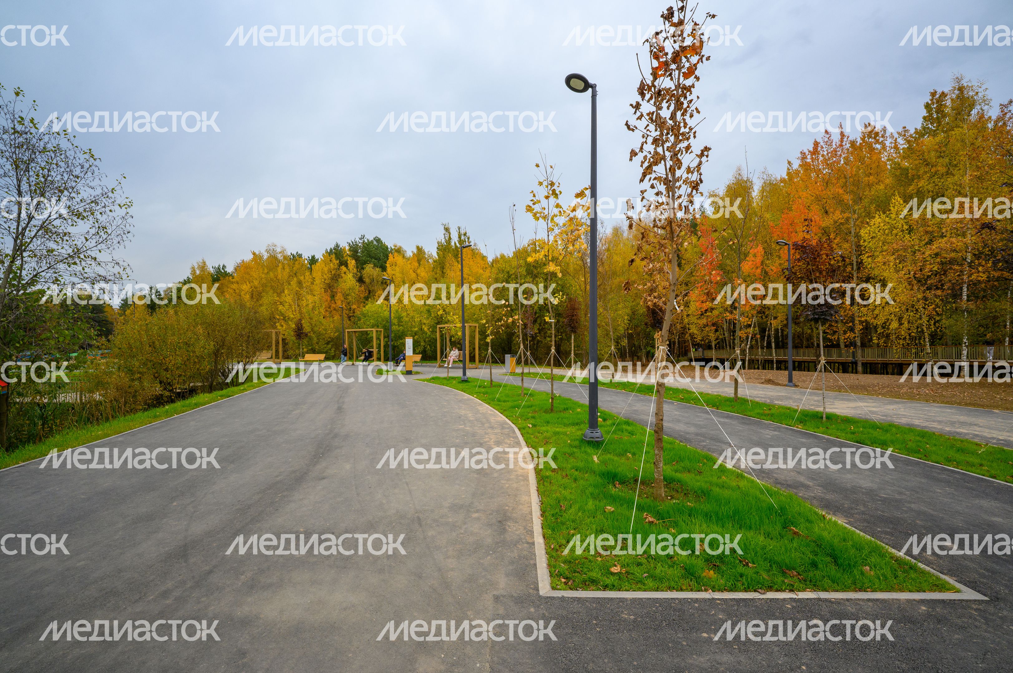 Парковка у лесопарка «Спутник» города Щелково осенью Парковка у лесопарка «Спутник» города Щелково осенью