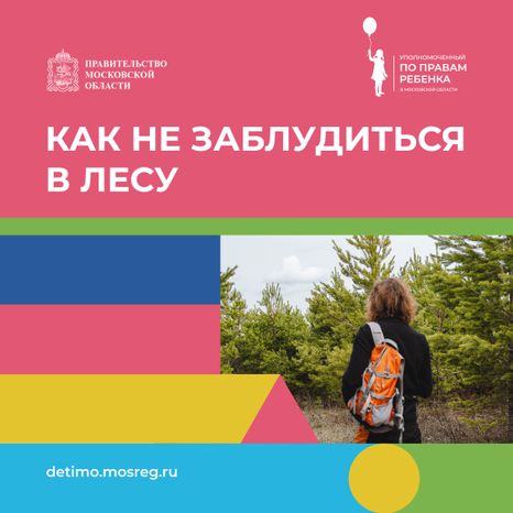 квадрат как не заблудиться в лесу.jpg
