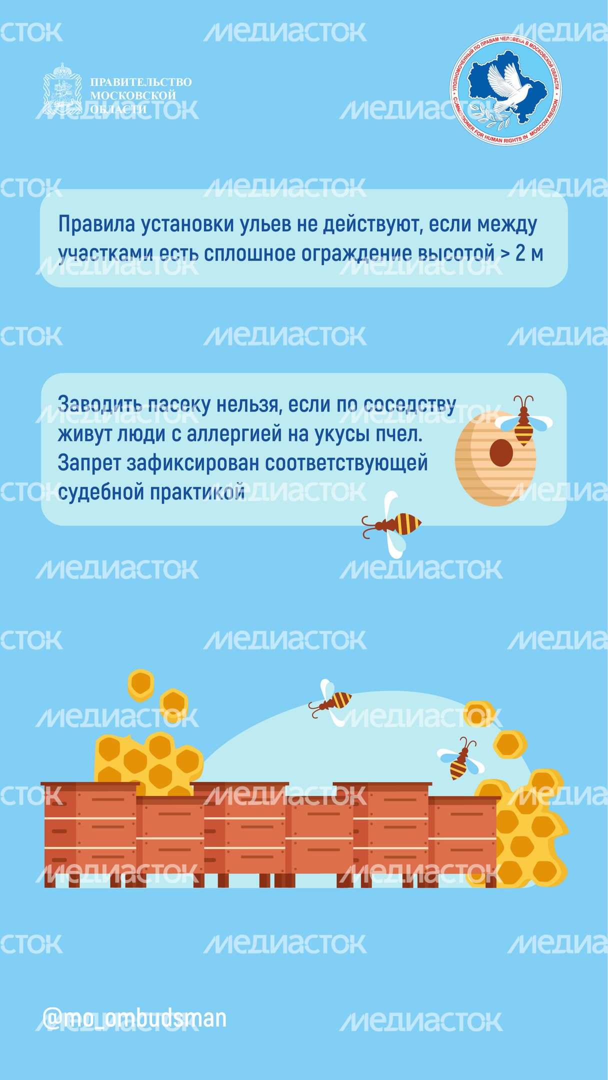 Вертикаль Вопрос-ответ. Пчеловодство-04.jpg