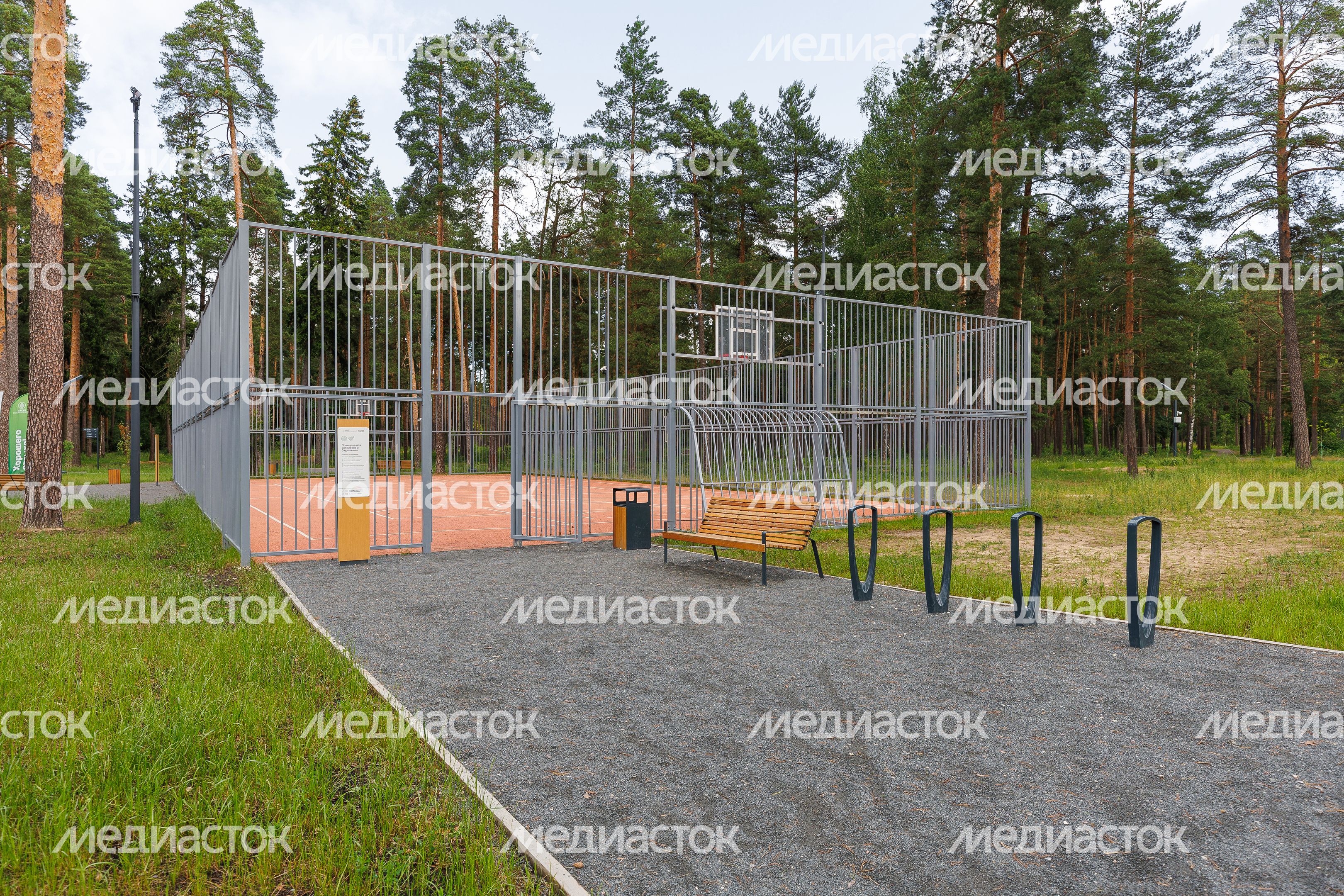 Спортивная площадка в лесопарке «Стрелки» в Орехово-Зуево летом