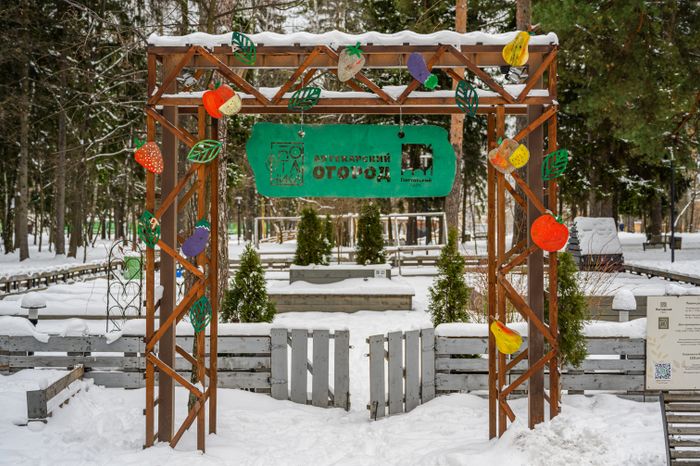 Аптекарский огород в Пестовском парке Балашихи