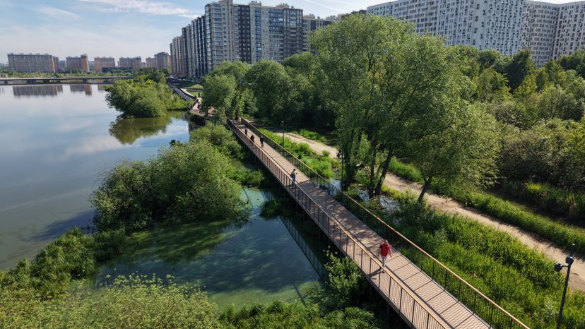Благоустройство парка "Дружба" в Люберцах