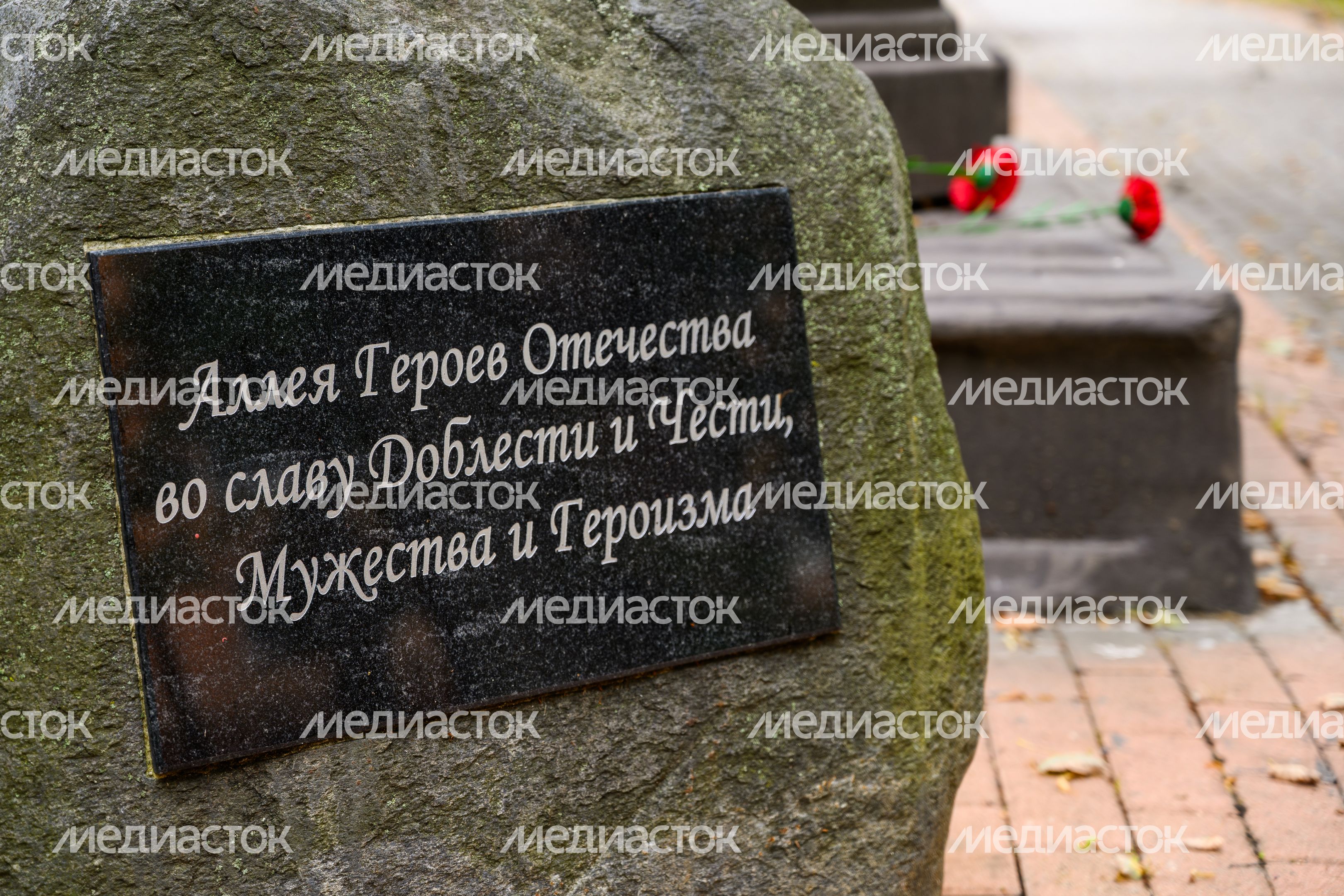 Аллея Героев Отечества в Щелково Аллея Героев Отечества в Щелково
