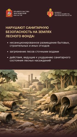 Санитарная безопасность в лесах вертикаль 03