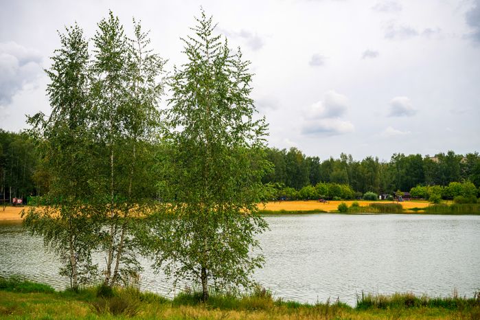 Пляж на набережной озера Дивное в парке «Заря» в Балашихе