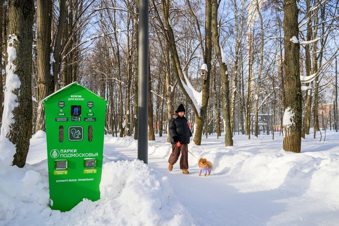 Автомат с кормом для белок в Наташинском парке зимой в Люберцах