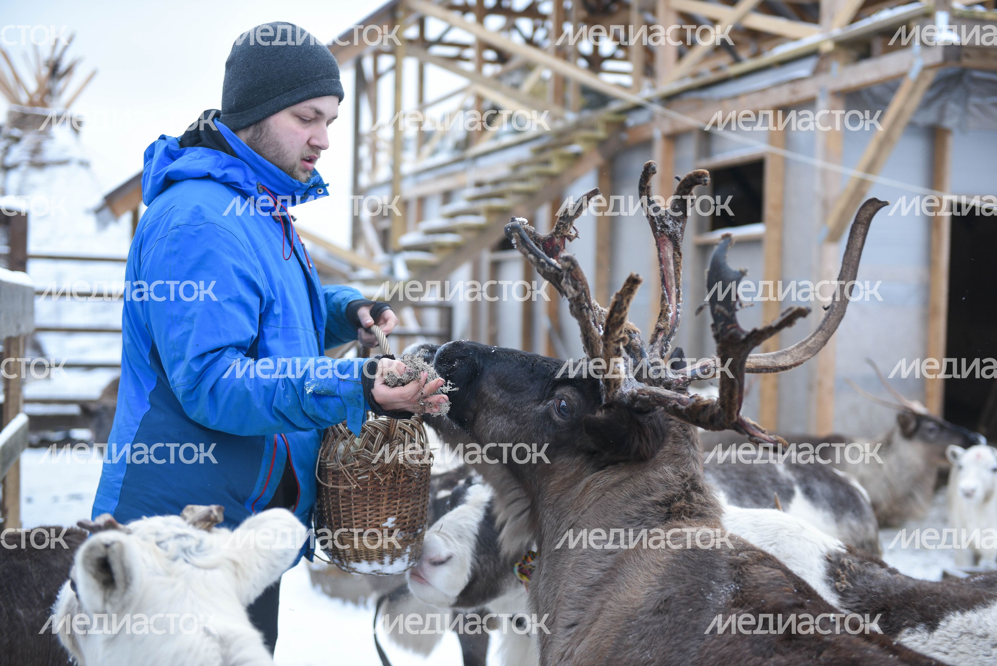 Оленья ферма в Дзержинском