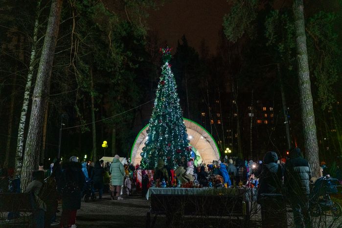 Огни зажгли на новогодней елке в детском городке «Сказочный» Красногорска
