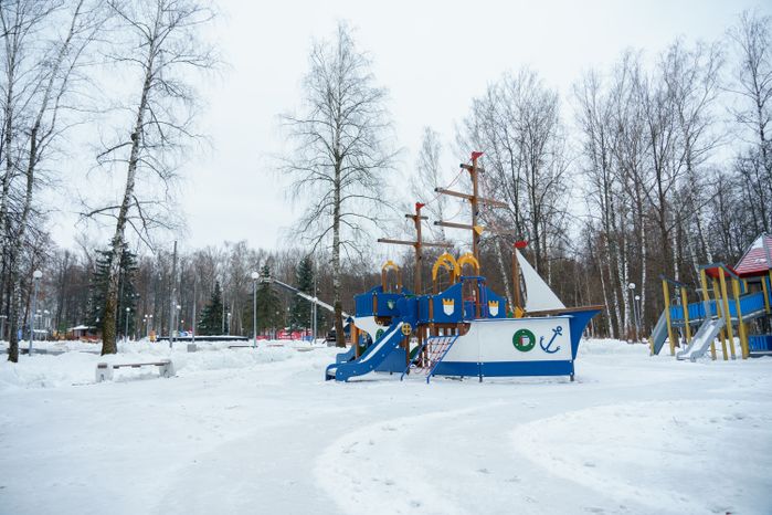 Кашира. Городской парк. Зима