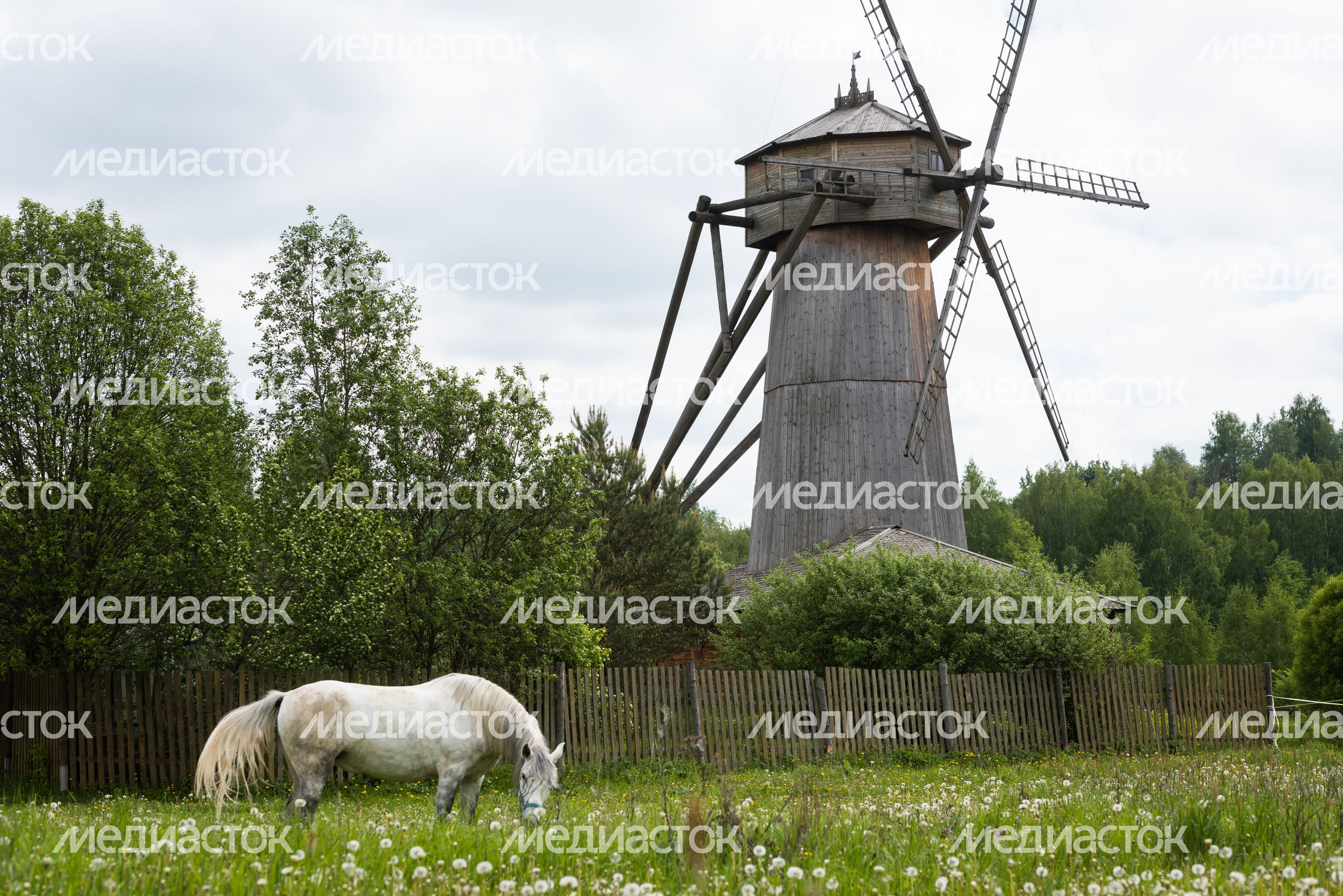 Мельница в Истре