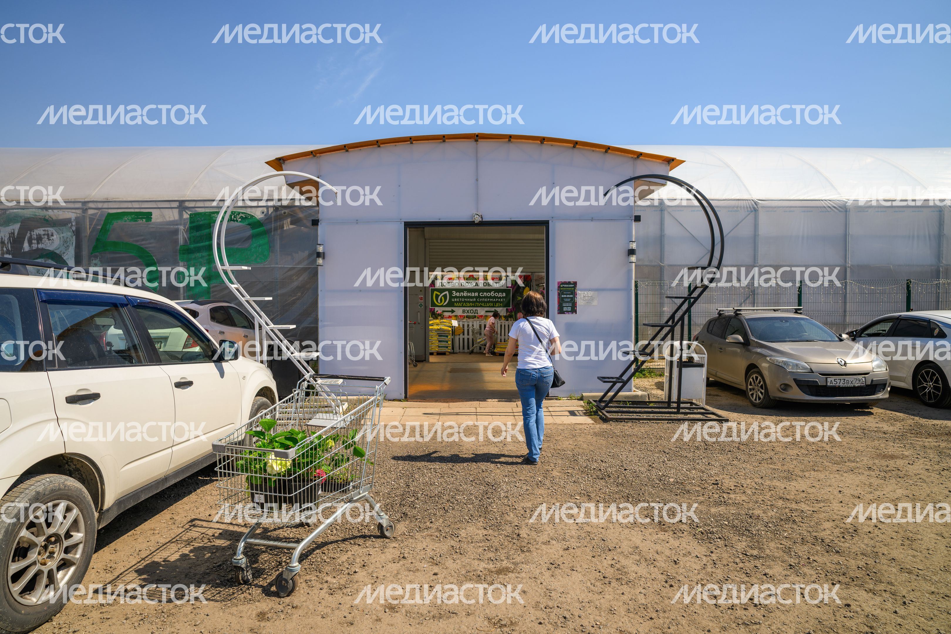 Рассада и цветы в горшках в садовом центре агрокомплекса «Цветком» в Раменском округе Рассада и цветы в горшках в садовом центре агрокомплекса «Цветком» в Раменском округе