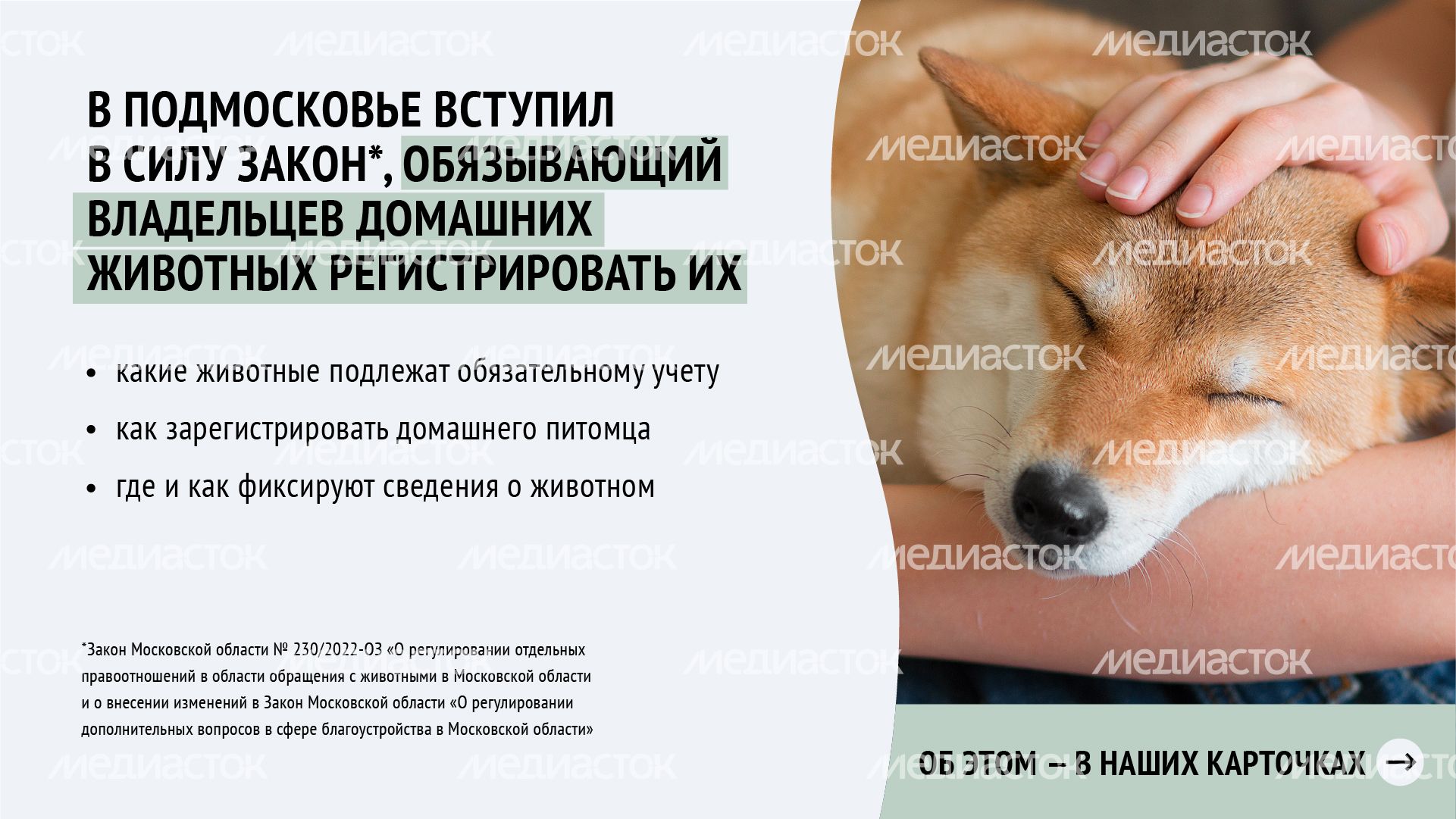 Горизонталь_ зарегистрировать домашнее животное_02-100.jpg