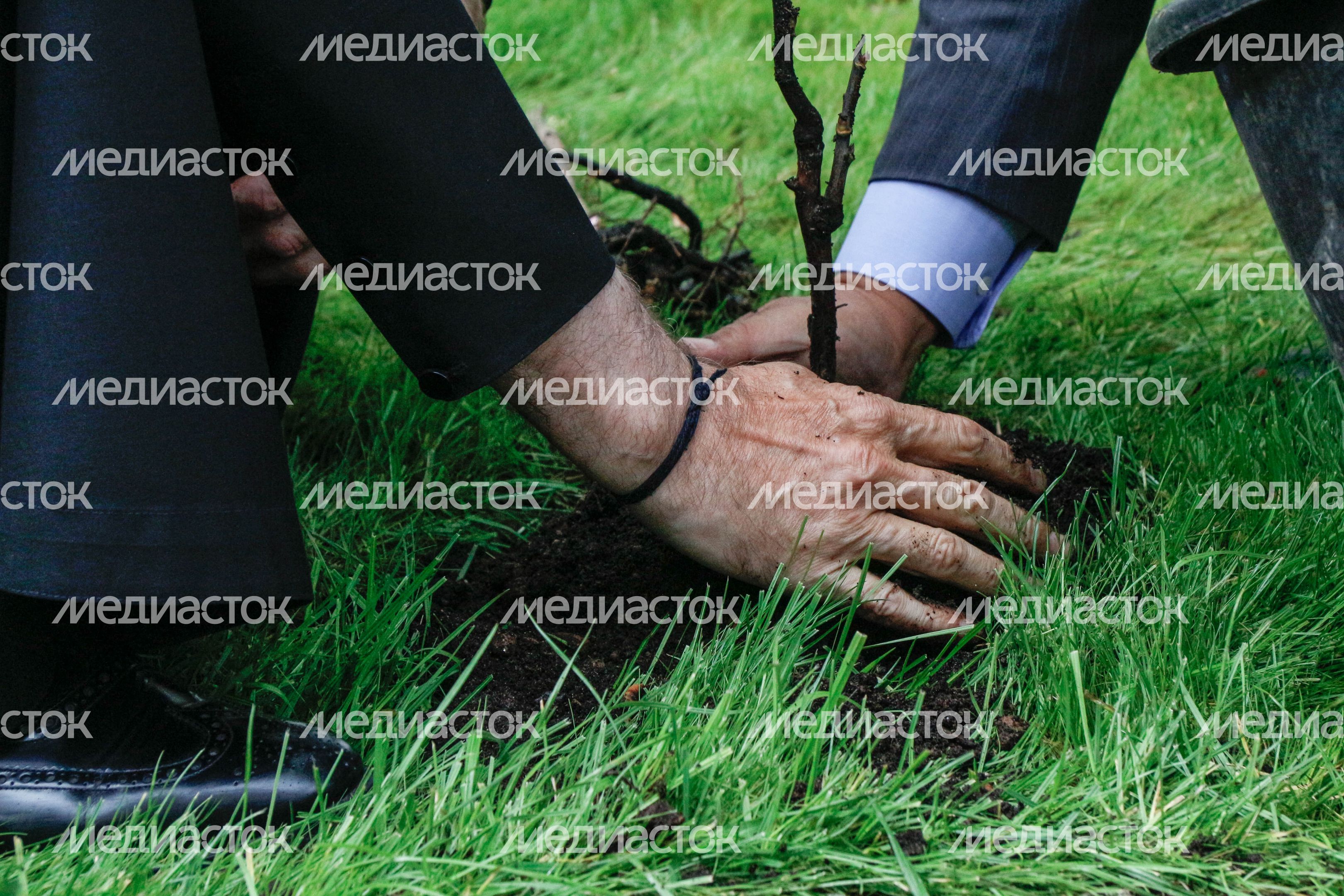 Делегация из Японии посадила древовидные пионы в Троице-Сергиевой Лавре