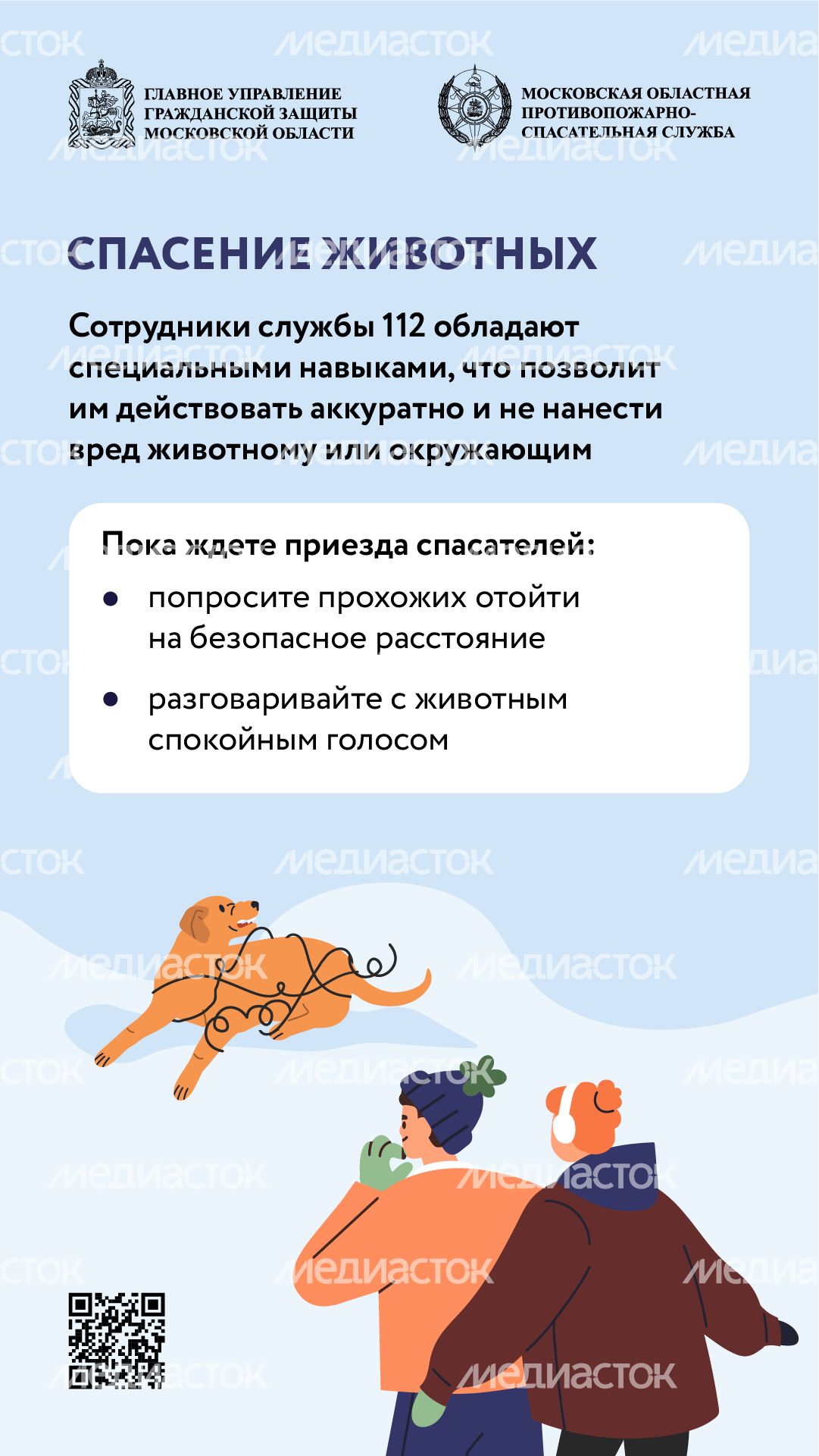 помощь усатым - вертикаль - 02
