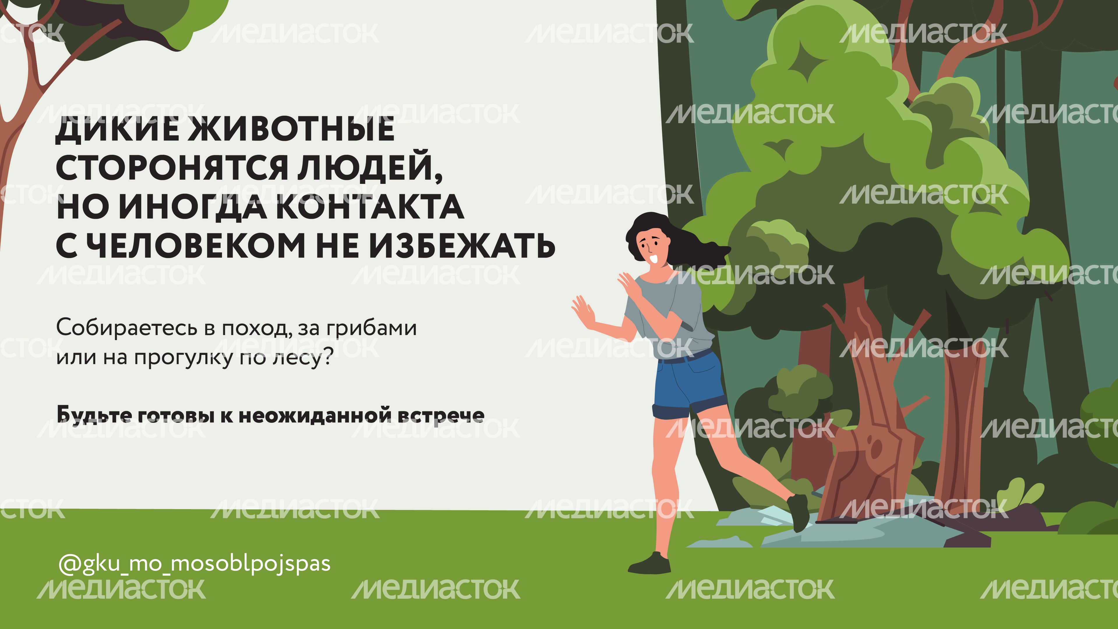 Горизонтали Безопасность в лесу 02.jpg