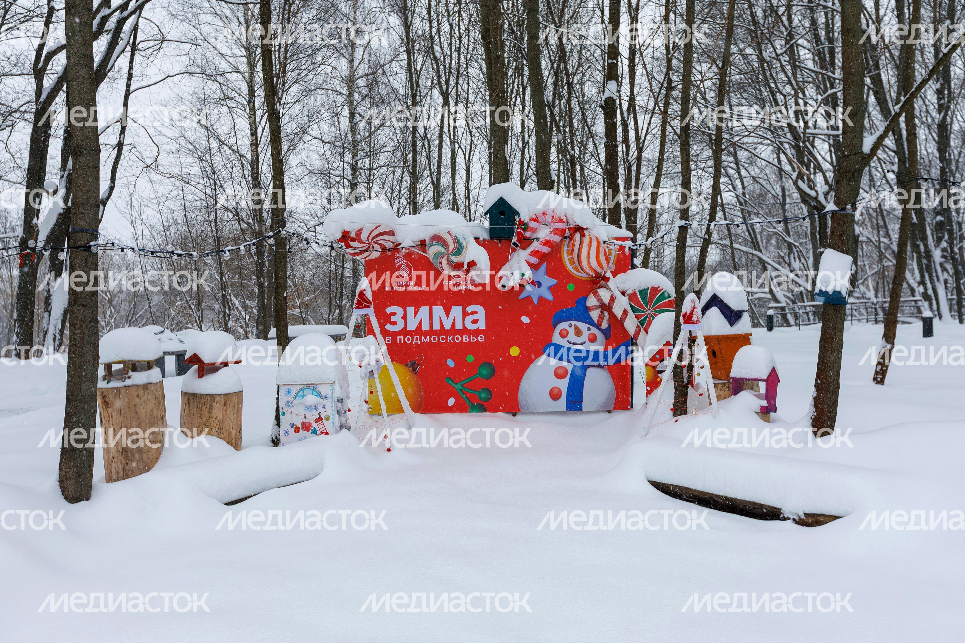 Зима в Лосино-Петровском парке