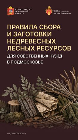 Недревесные ресурсы для собственных нужд Вертикаль 01