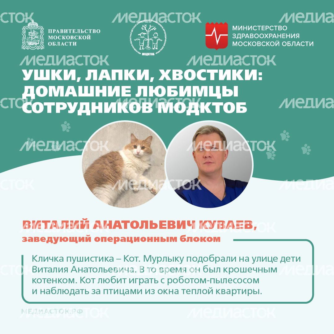 Ушки, лапки, хвостики квадрат 01 Ушки, лапки, хвостики квадрат 01
