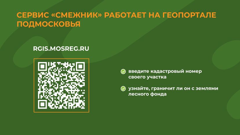 пал_гор_9.jpg