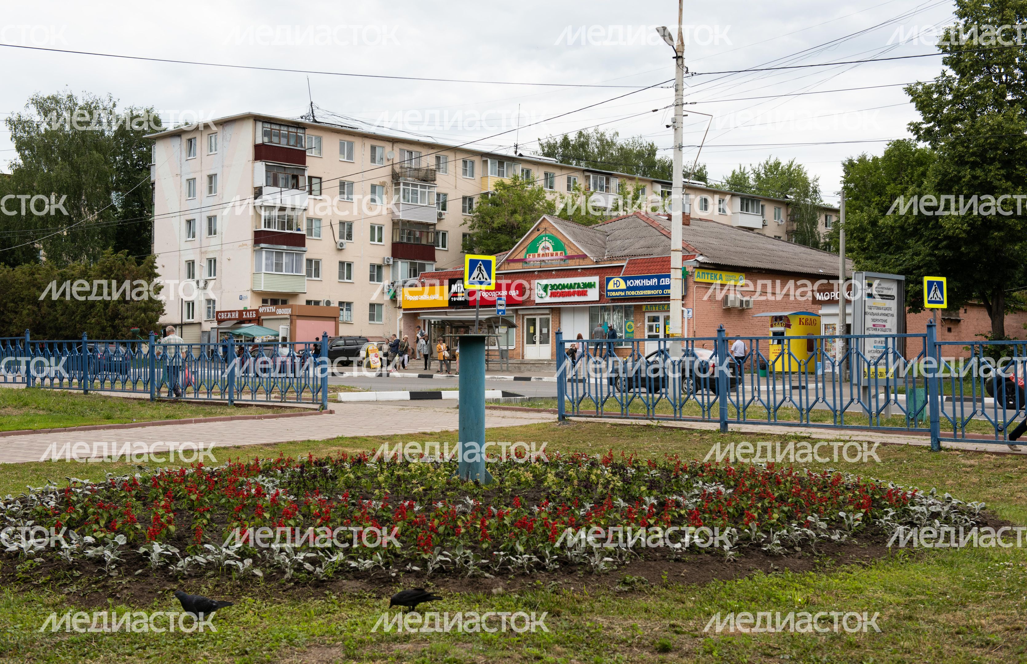 Виды города Луховицы