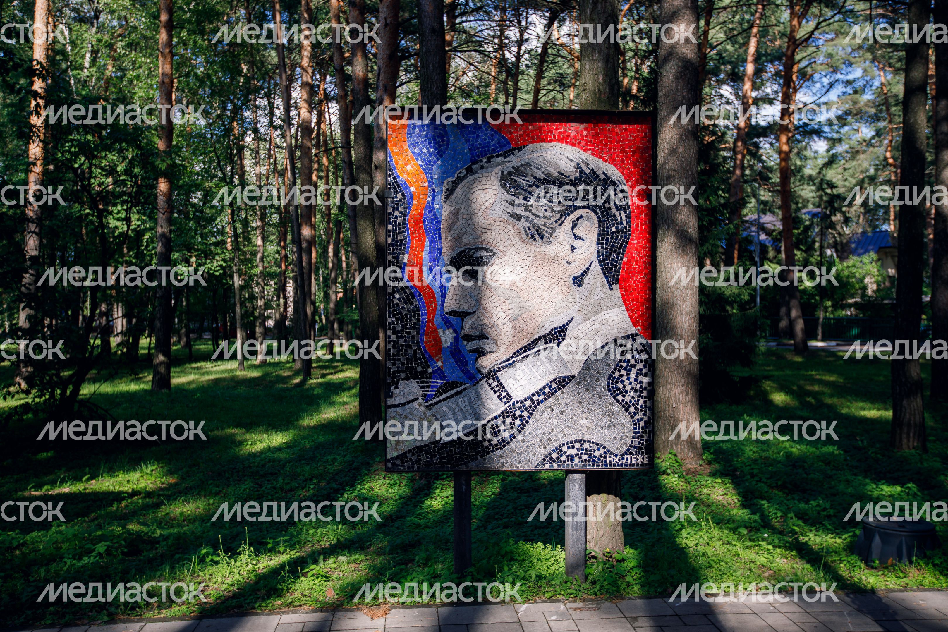Дубна. Мозаики Нади Леже Дубна. Мозаики Нади Леже