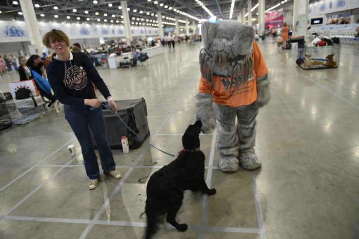 Всемирная выставка собак World Dog Show 2016 в МВЦ «Крокус Экспо»