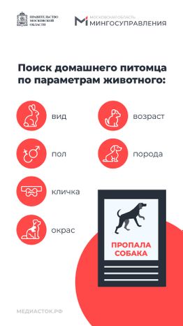 Домашние животные вертикаль 06