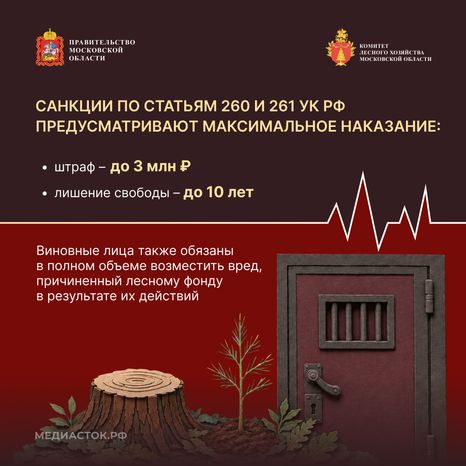 Самовольный захват и использование лесных участков квадрат 07