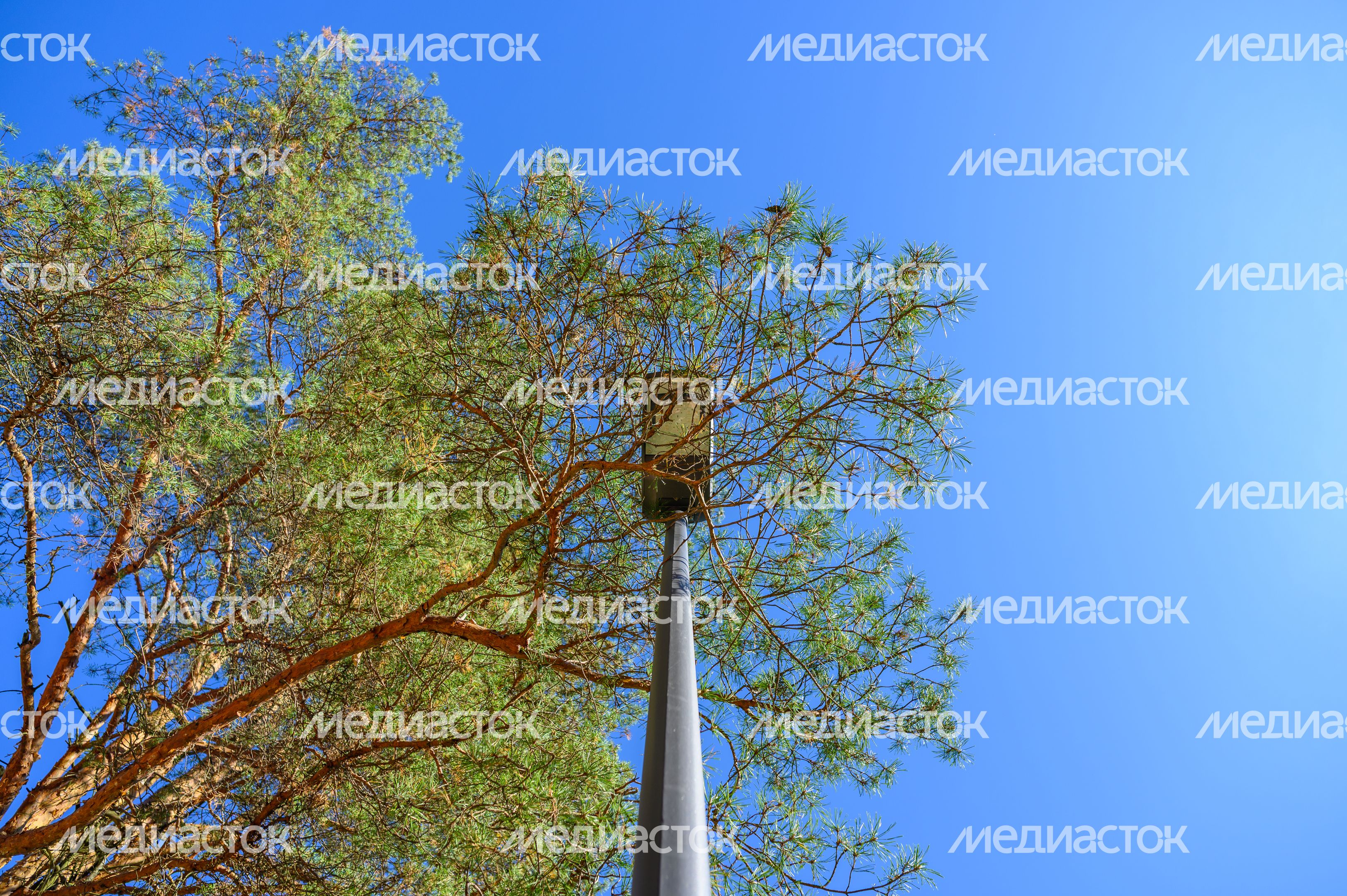 Осень в парке Малевича Одинцовского округа Осень в парке Малевича Одинцовского округа